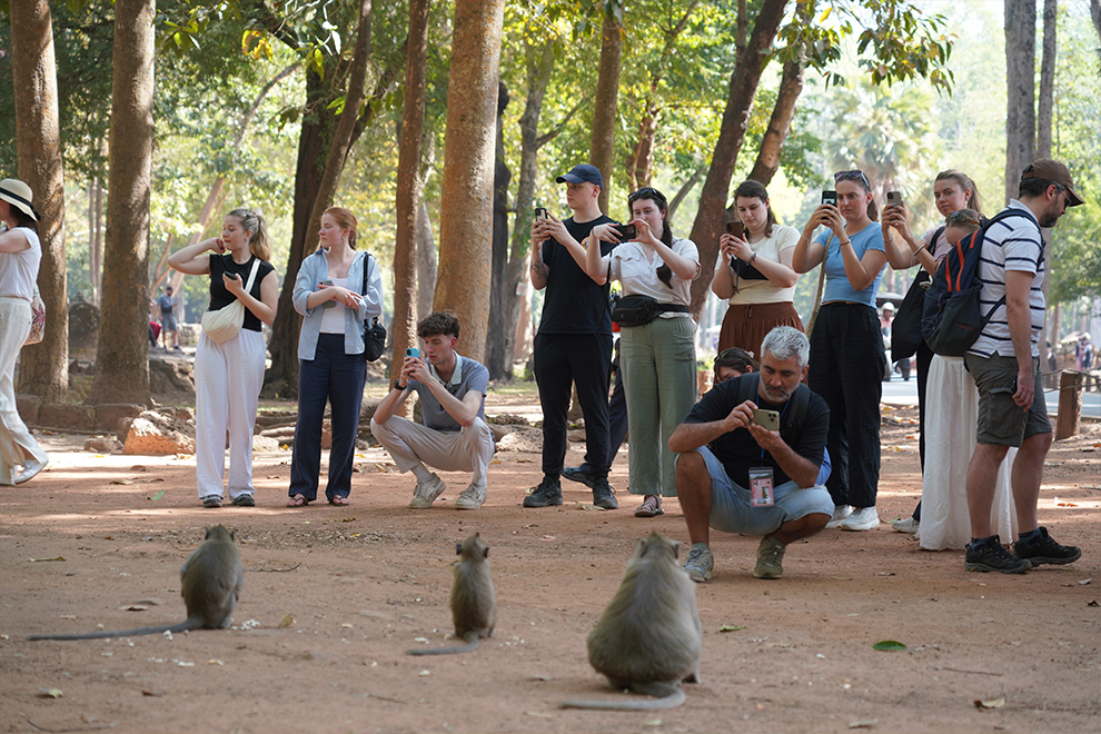 Primate advocate Sarah Kite: The impact of humans feeding monkeys at Angkor Wat Primate advocate Sarah Kite: The impact of humans feeding monkeys at Angkor Wat