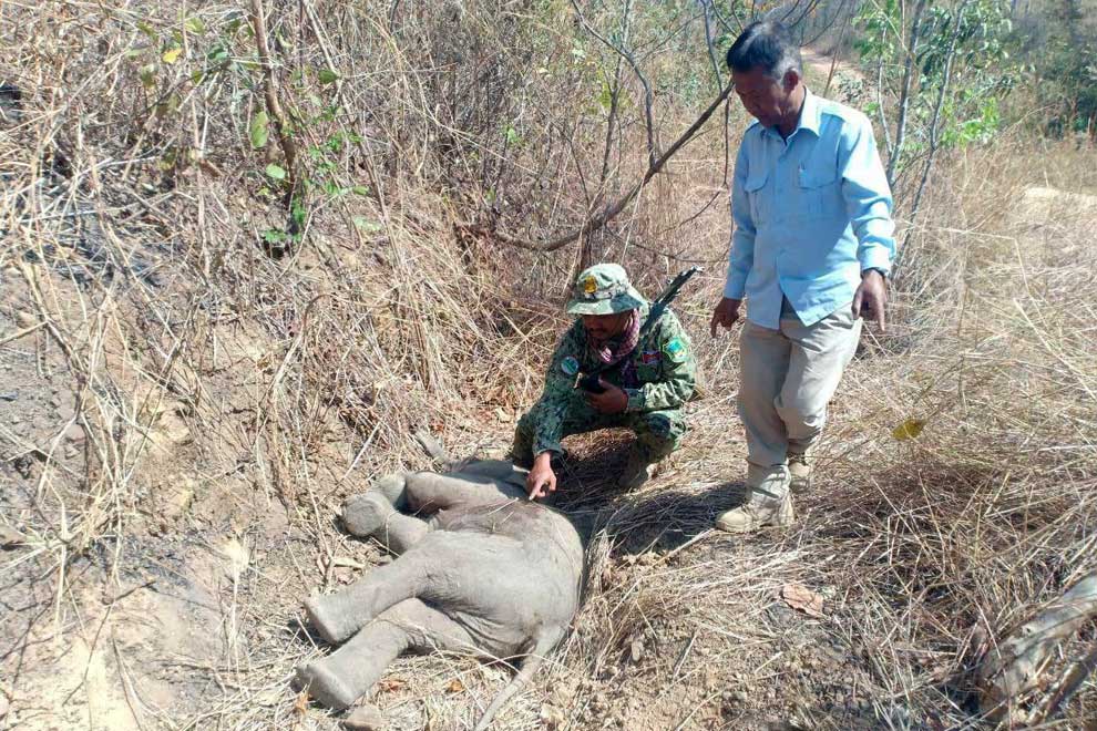 Elephant death prompts increased action Elephant death prompts increased action