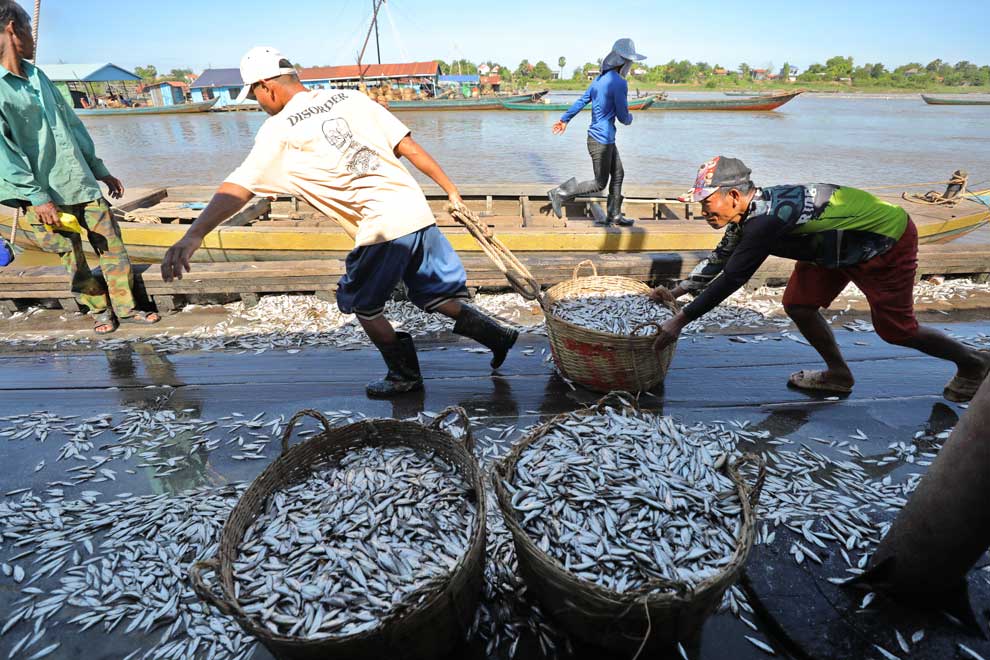 Tina optimistic fish production rising as prahok season opens