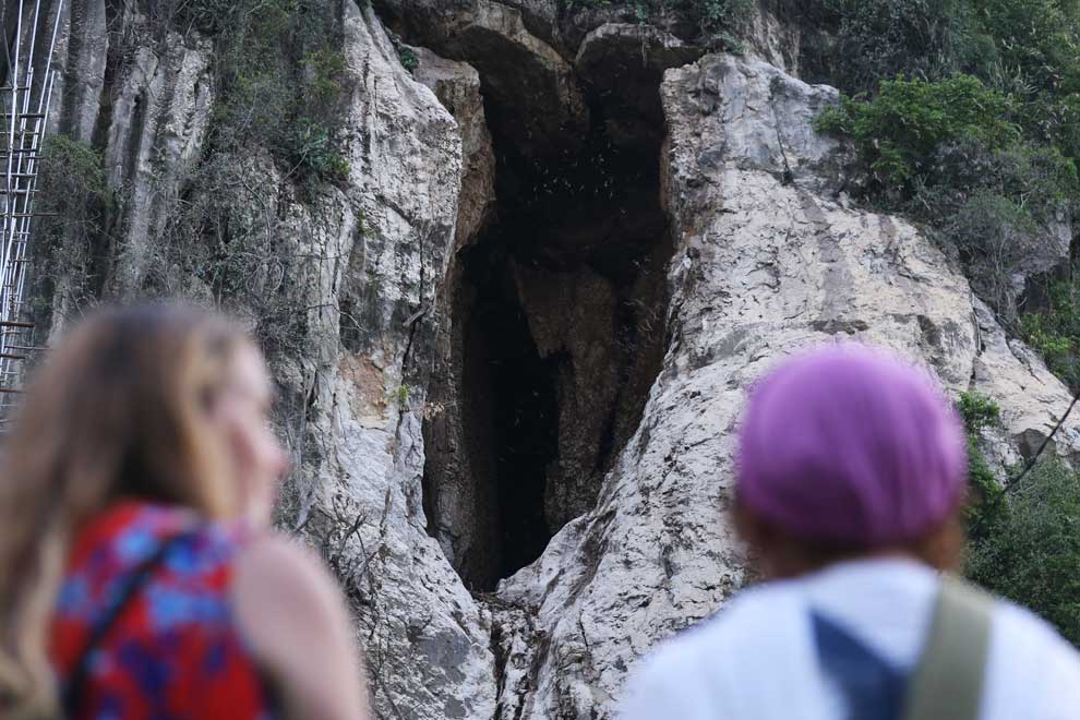 Video of attack on Phnom Sampov's bat cave motivates habitat protection