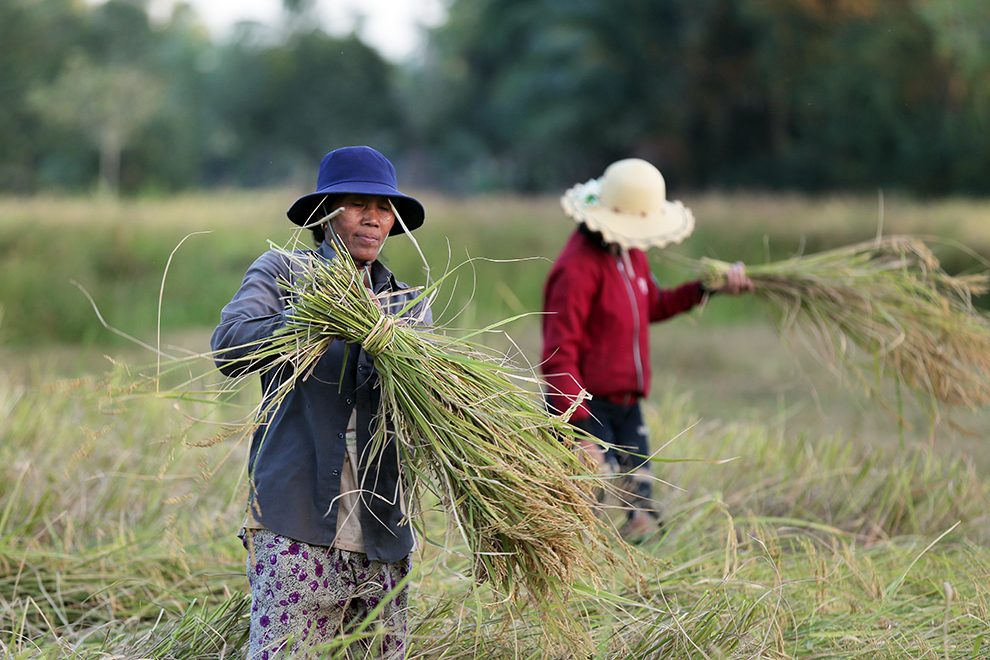 A $29 million Food for Progress award from the US Department of Agriculture is designed to improve the implementation and development of food safety regulations. Post Staff