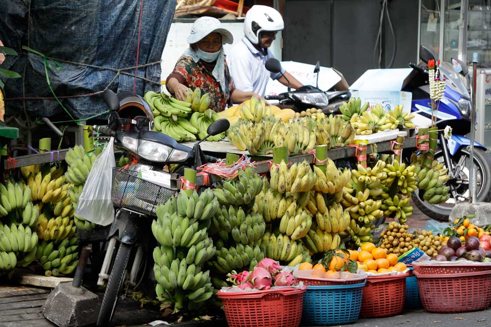 Korean investment targets agricultural exports