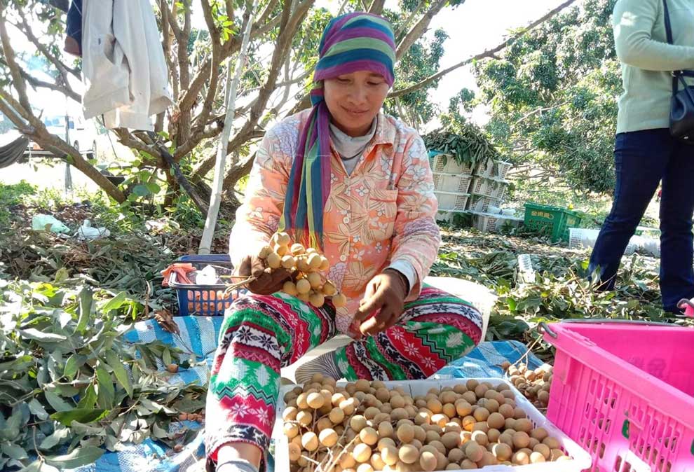 USAID provides $62M grant for multi-purpose projects USAID provides $62M grant for multi-purpose projects