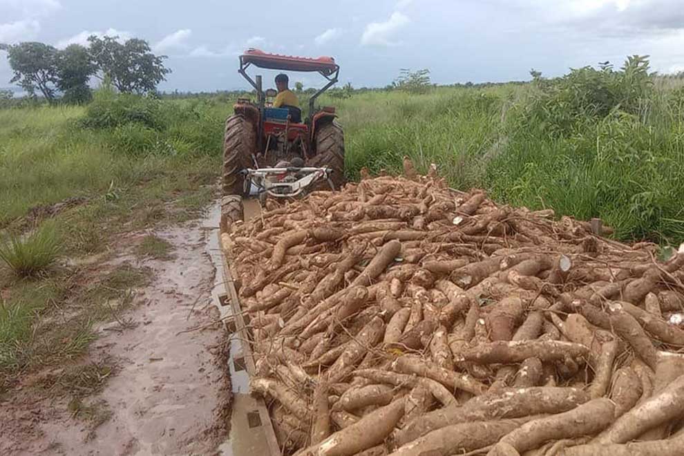 Cambodia’s trade deficit narrows with Vietnam as exports escalate Cambodia's trade deficit narrows with Vietnam as exports escalate