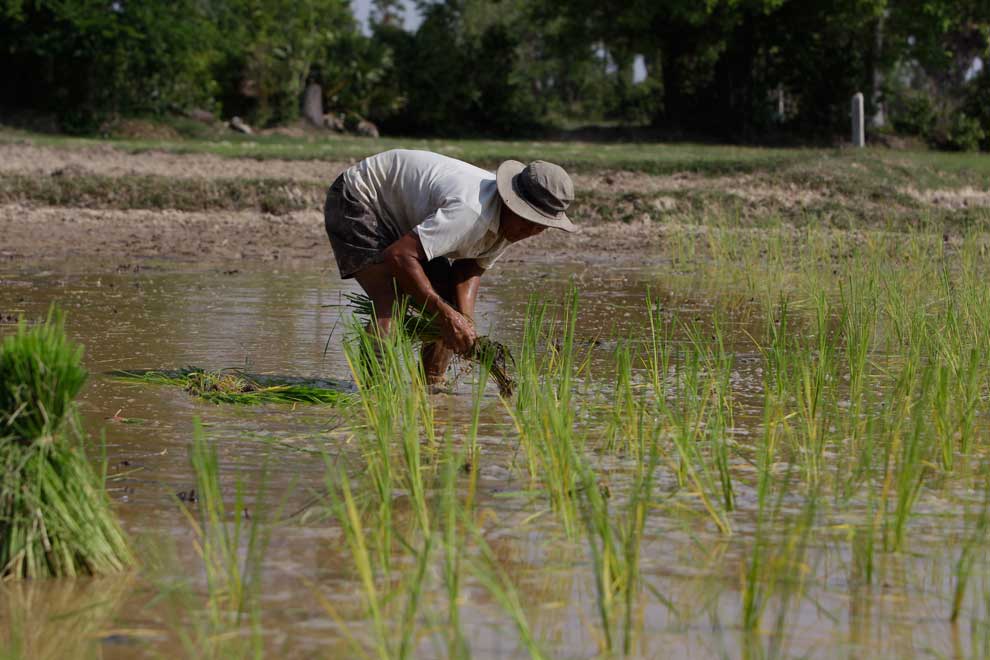 Farmers warned to prep for imminent droughts Farmers warned to prep for imminent droughts