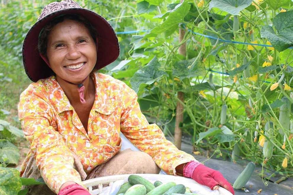 Agribusiness invited to apply for Harvest development grants
