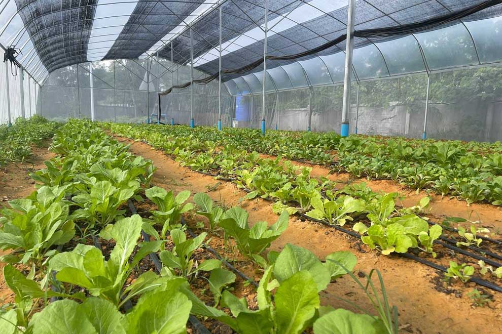 School turns organic waste into learning opportunities School turns organic waste into learning opportunities