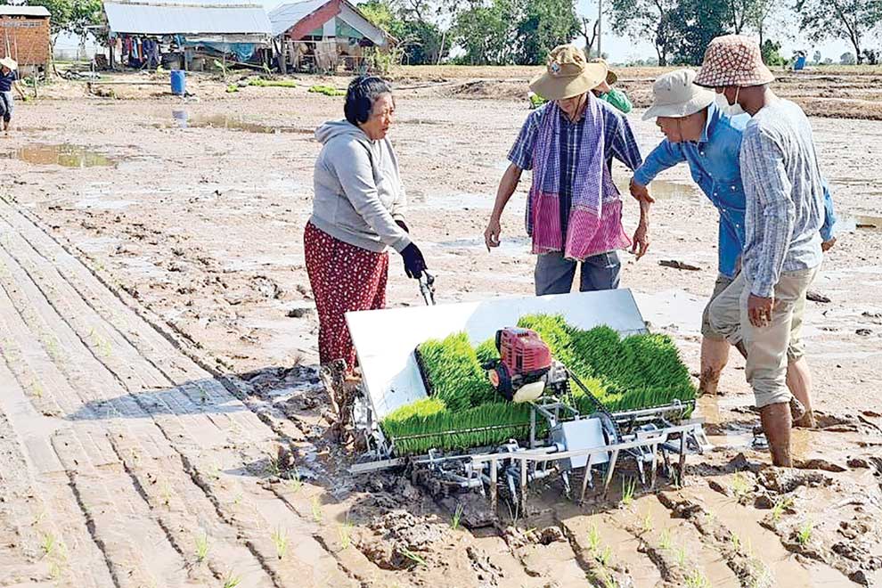 Rice transplanters now affordable