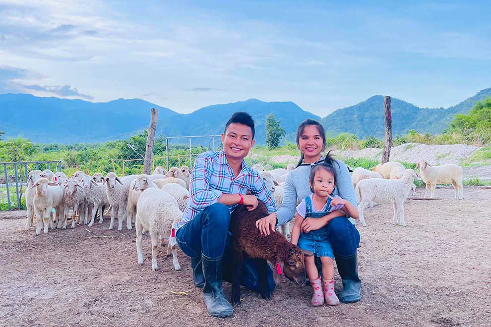 Tourists flock to mountain sheep farm for picture perfect scenery Tourists flock to mountain sheep farm for picture perfect scenery