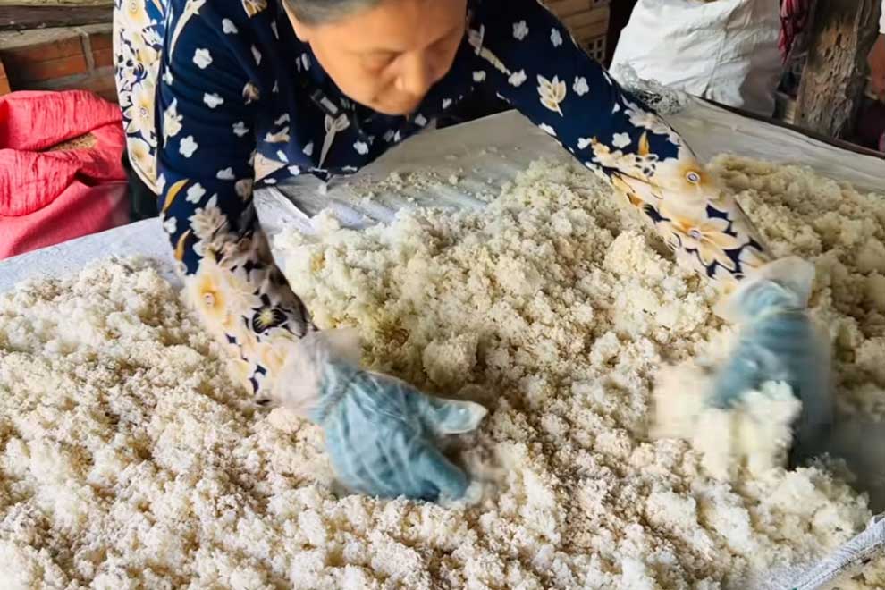 Chea Kuntheary dries cooked rice, before adding it to jars to ferment. PHOTO SUPPLIED