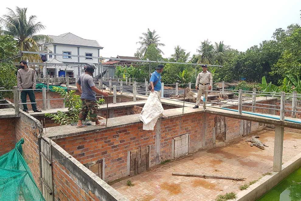 Plans for safe crocodile farming introduced Plans for safe crocodile farming introduced