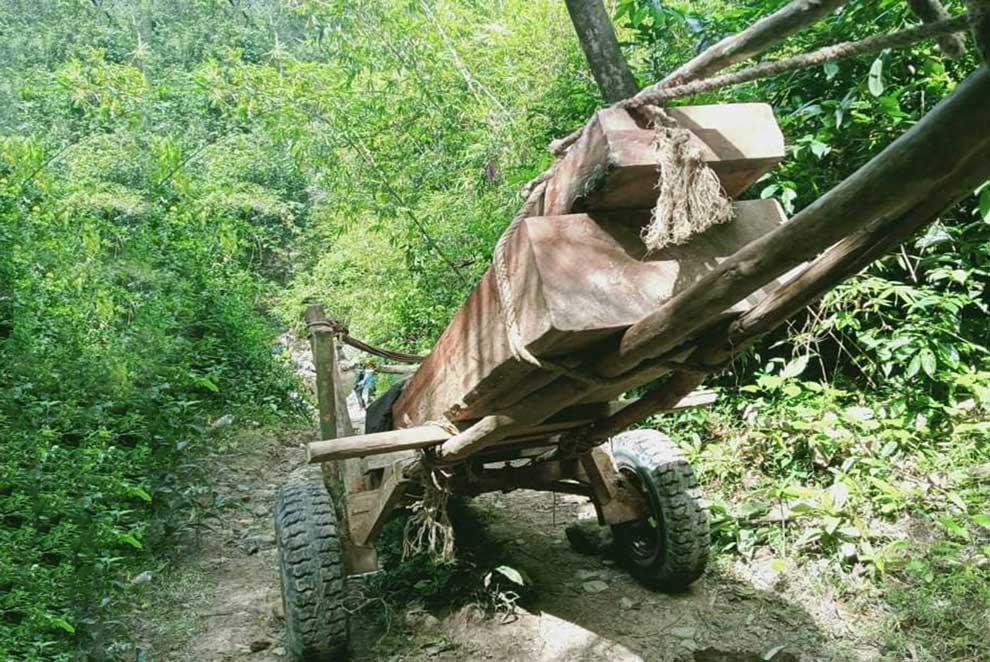 Oral community: Forestry crimes ongoing Oral community: Forestry crimes ongoing