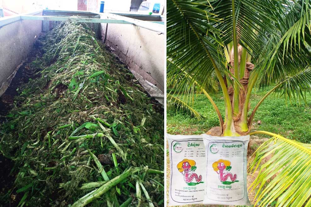 Unearthing potential: From dreaded worms to agriculture’s delight Unearthing potential: From dreaded worms to agriculture's delight