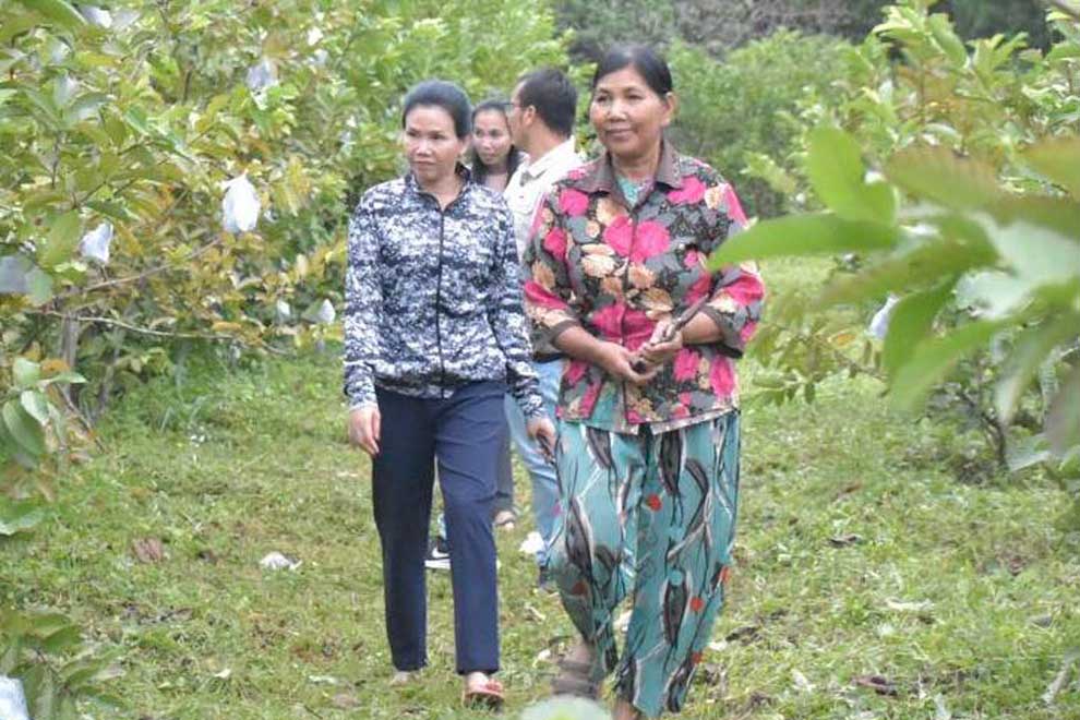 Pailin province to buy crops from local farms Pailin province to buy crops from local farms