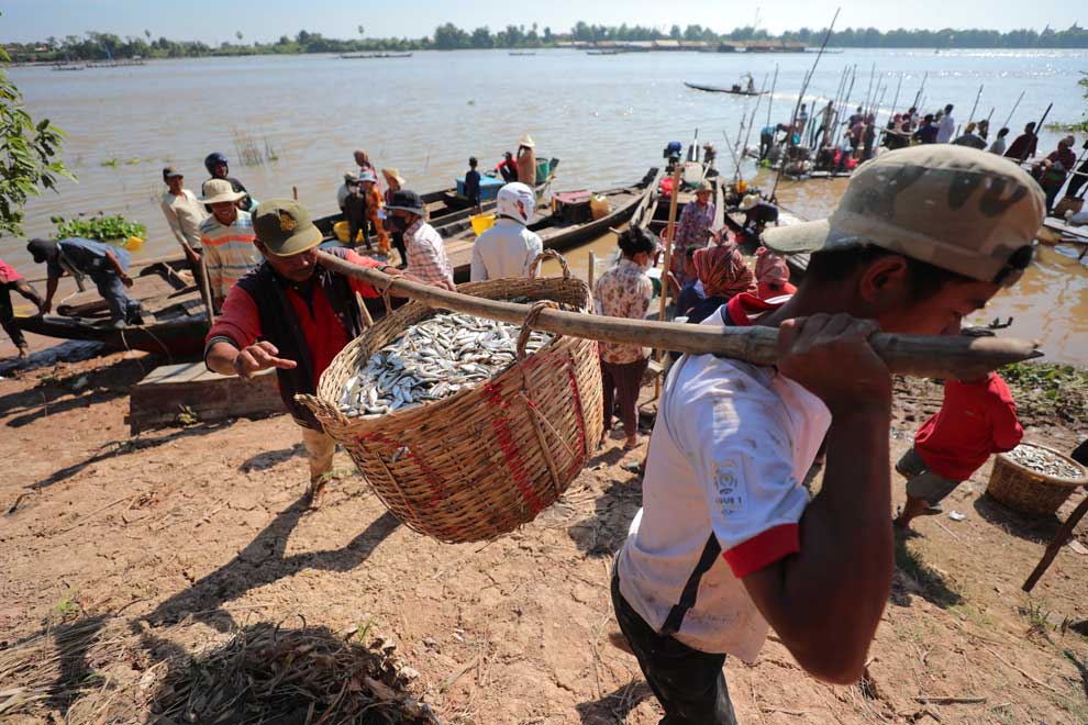 Fish farming resumes amid market uptick