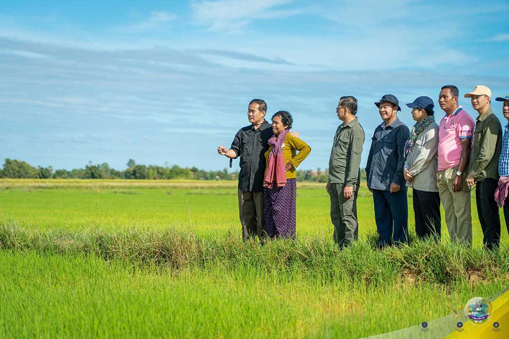 Flood damage to rice fields mostly mitigated