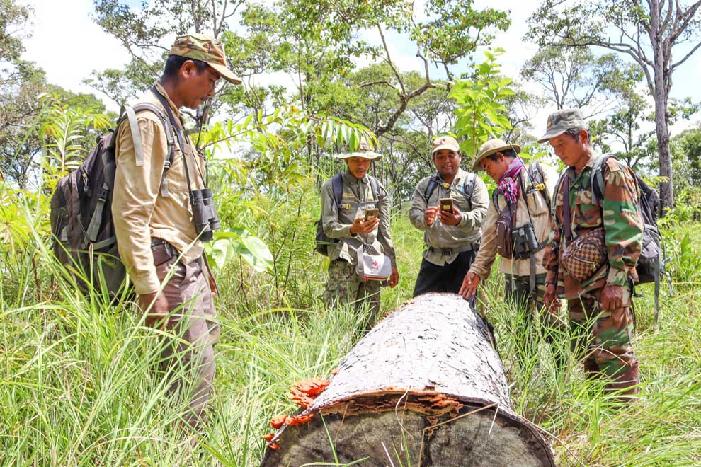 Protected area communities report forest crimes via app Protected area communities report forest crimes via app