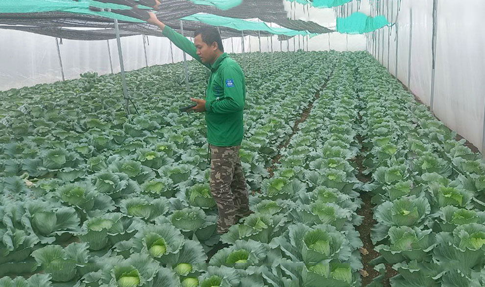Mesh greenhouses an ‘agricultural revolution’ Mesh greenhouses an 'agricultural revolution'