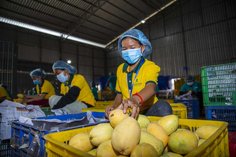 Jan-Apr agri exports top 4M tonnes