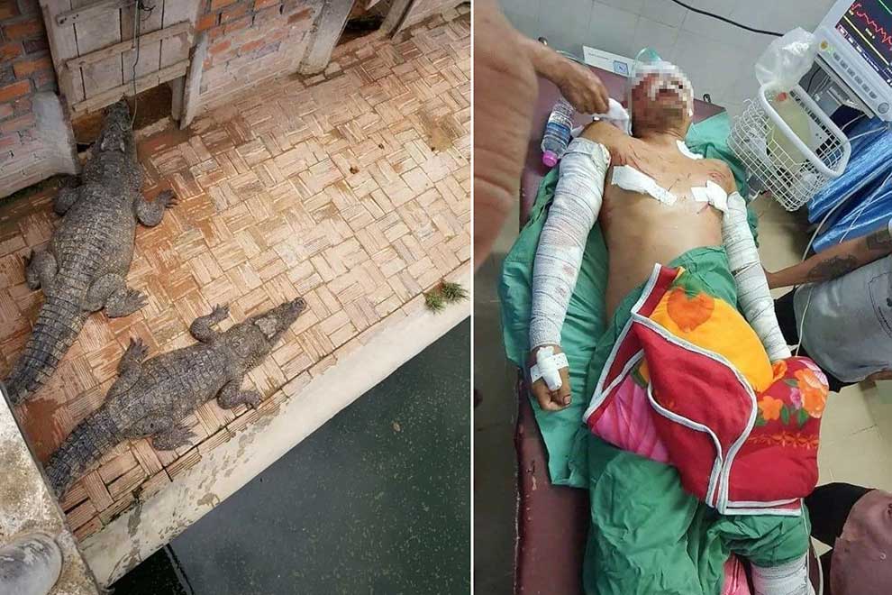Siem Reap man gravely injured after falling into crocodile pool