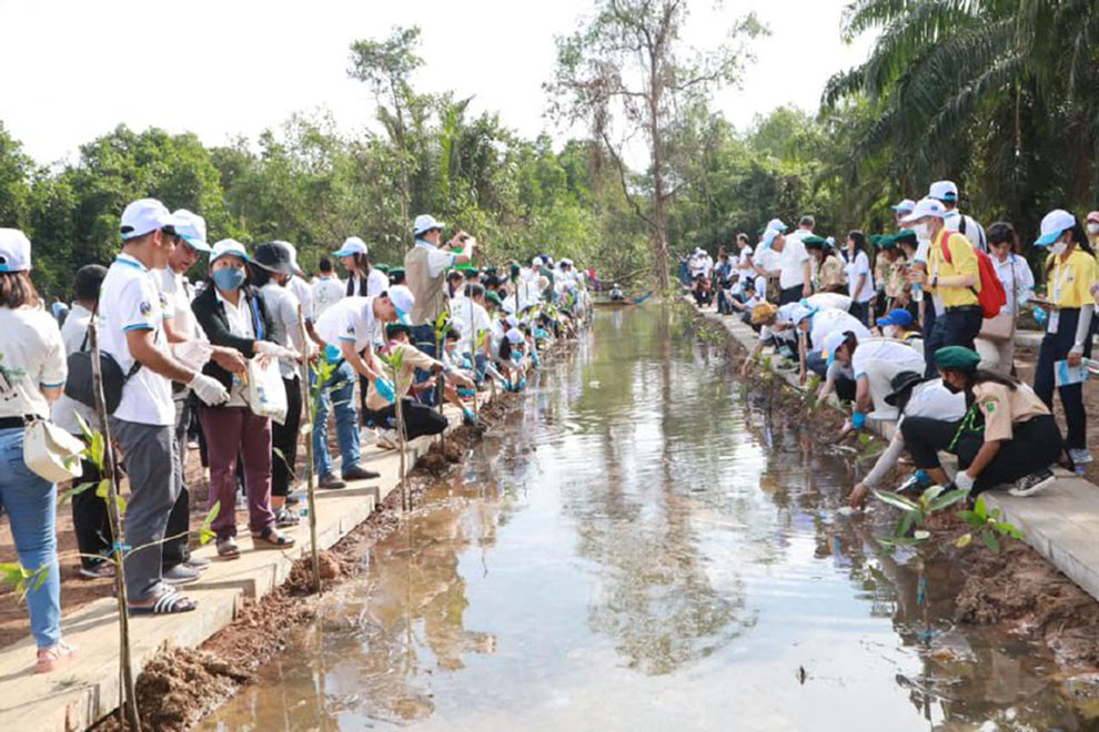 World-Bays Club plants nearly 2.4K mangroves World-Bays Club plants nearly 2.4K mangroves