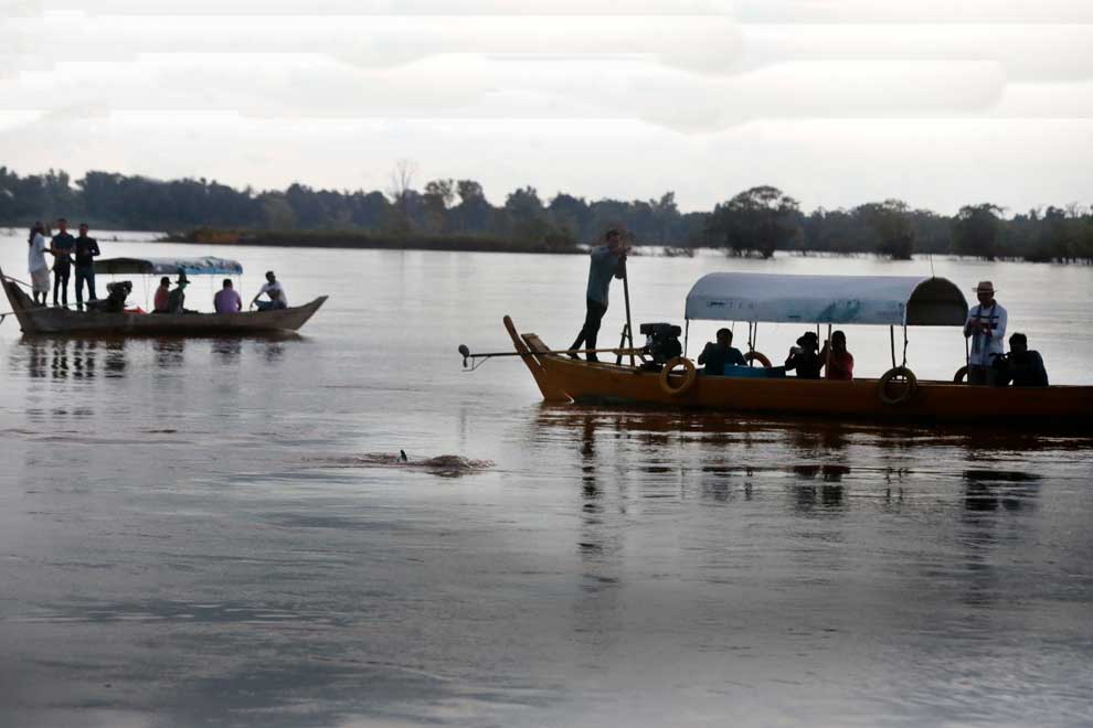 New dolphin and fish protection measures launched in Stung Treng