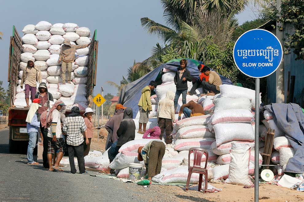 Next year’s agri census set to offer rounded view of sector Next year's agri census set to offer rounded view of sector